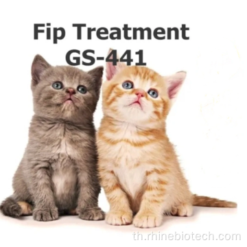 GS-441524 Vials Cat FIP ​​Treatment 15MG / ML